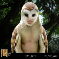 Owl Boy