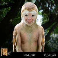 Owl Boy