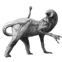 crit_sketch_001