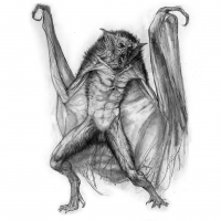 crit_sketch_003
