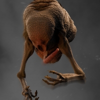 imp_03