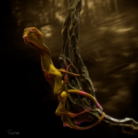Arboreal_Alien_1