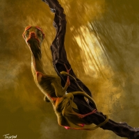 Arboreal_Alien_2