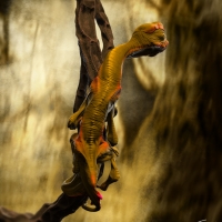 Arboreal_Alien_3