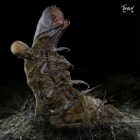 Parasite